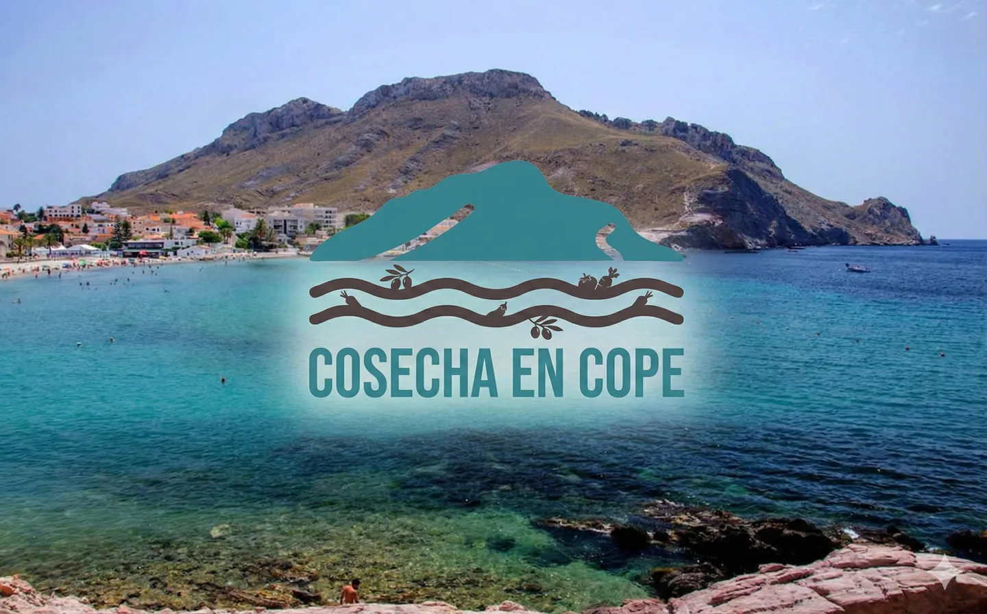 Portada del proyecto Cosecha en Cope, un marketplace agrícola